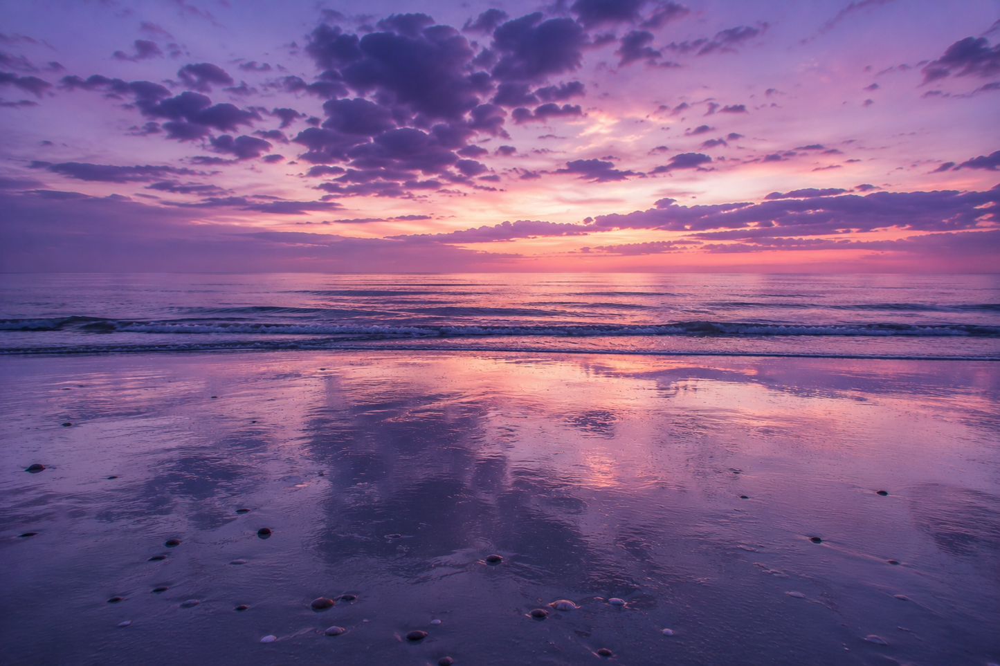 Open Horizon