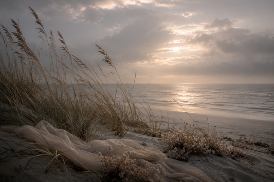 The Softening